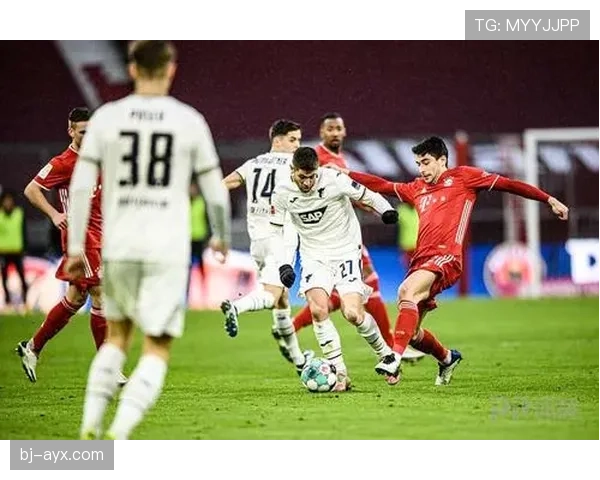 霍村防线稳固，最新防守数据彰显球队实力显著提升